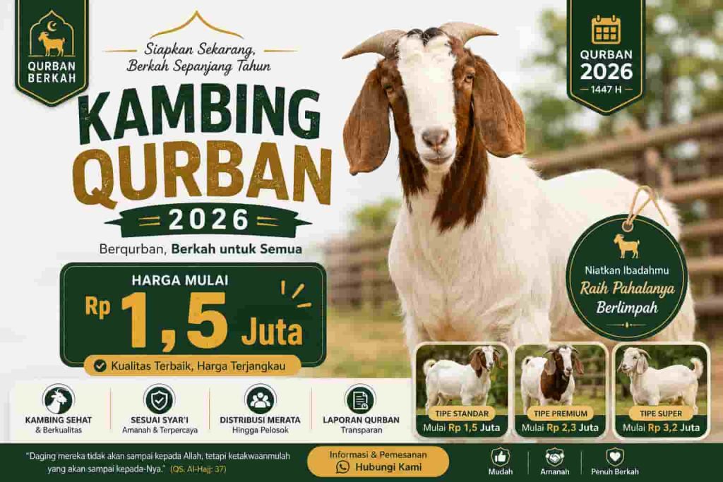 Harga Kambing Qurban Solo 2026: Panduan Lengkap Memilih Qurban Sehat