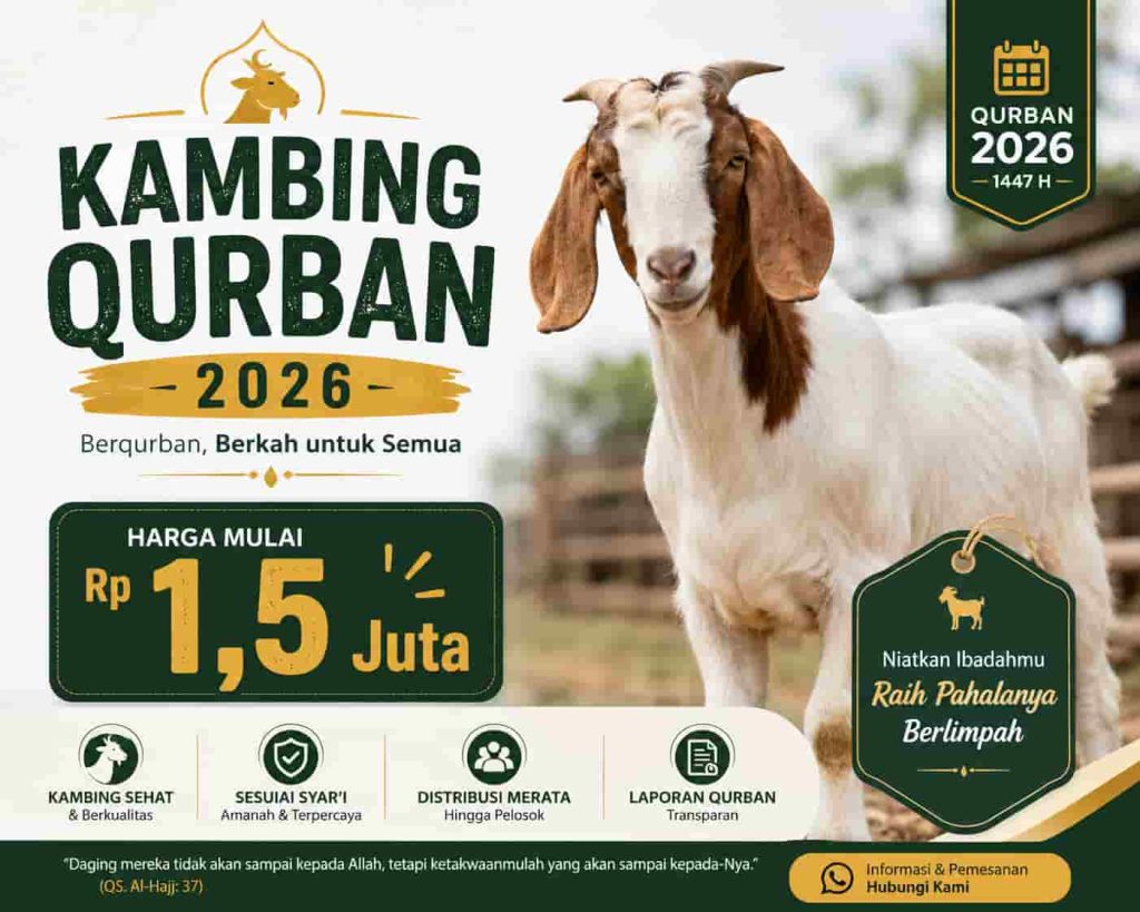 Hewan qurban kambing harga terjangkau bos