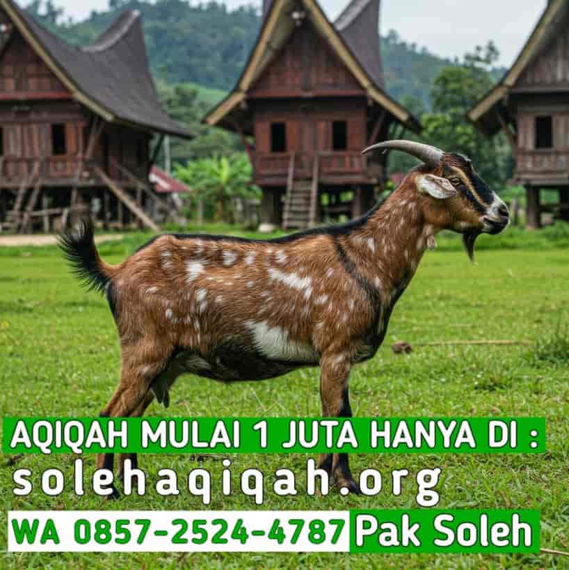 Dokumen Resmi Aqiqah Bersertifikat MUI Karanganyar