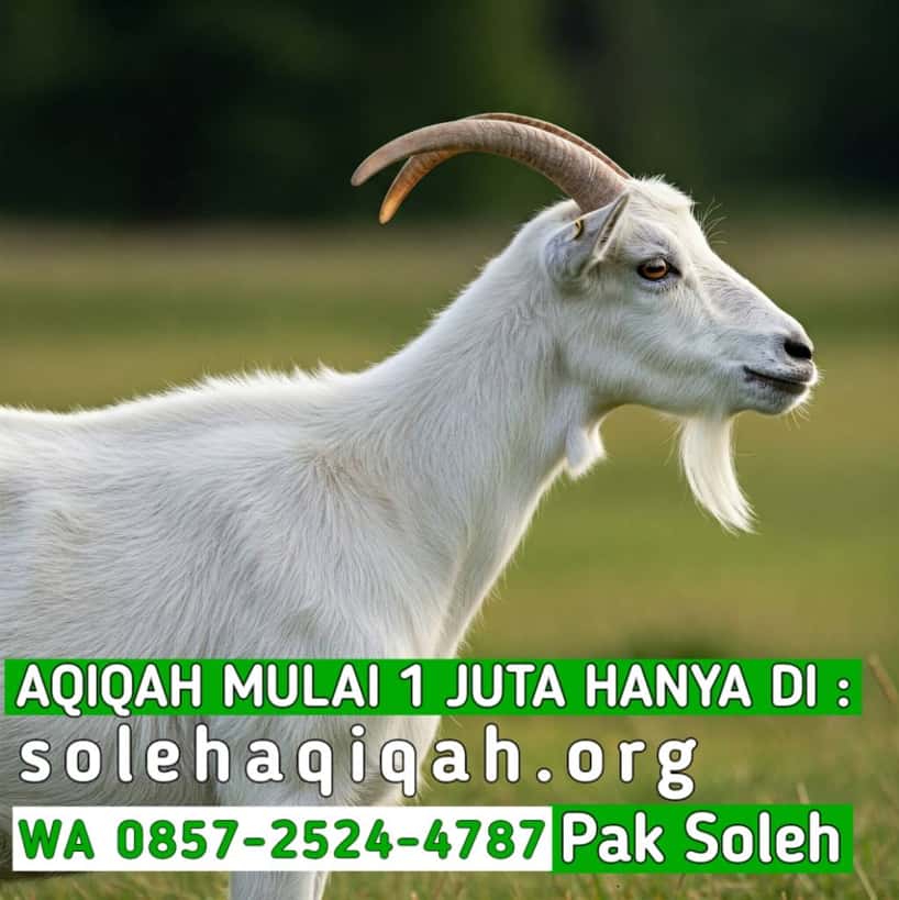 Proses Aqiqah Wonogiri Sampai Rumah